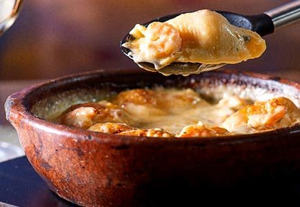 Conchiglione di Gamberi do Barolo Trattoria